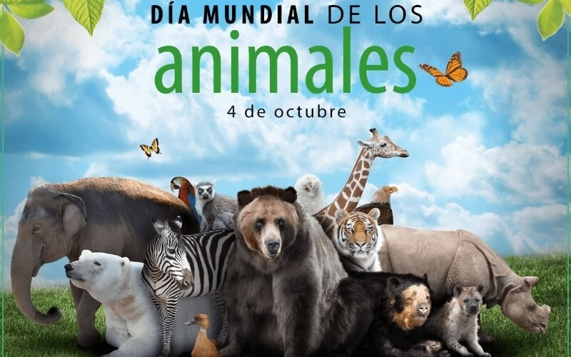 04 de Octubre, Día Mundial de los Animales